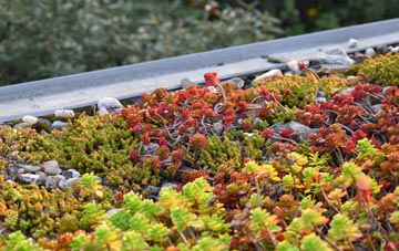 the cost of Kingsland green roof installation