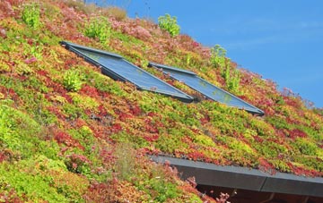 Kingsland living roof systems