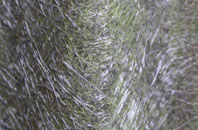 Kingsland fibreglass roof work